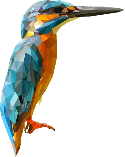 kingfisher (polygonal vectorization) art artwork design illustraion illustration kingfisher polygon polygonal polygonal art vectorart vectorization vectorized