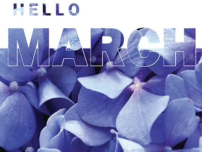 Hello March art artwork digitalart digitalartwork digitalcreation flowers graphicdesign graphicdesigner lavendar typography typography design wallpaper