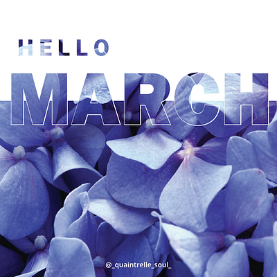 Hello March art artwork digitalart digitalartwork digitalcreation flowers graphicdesign graphicdesigner lavendar typography typography design wallpaper