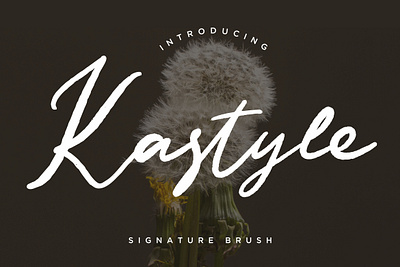 Kastyle Signature Brush branding brush calligraphy handwriting handwritten logo quotes script signature typography