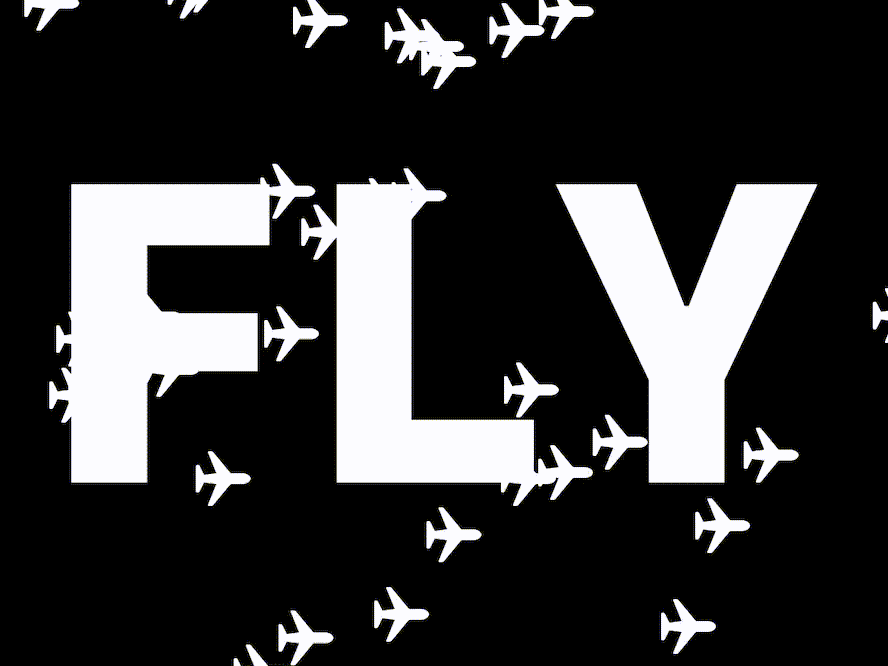 Airplanes On the Fly by Damir Hurtic on Dribbble