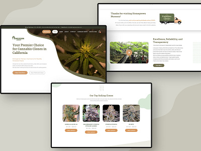 Web Design for Homegrown Nursery branding design layoutdesign ui ux webdesign website concept website design website design company website ui website ui design website ui ux