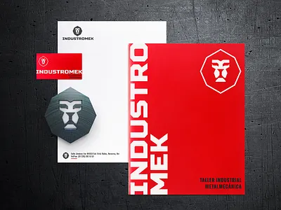 Branding Veracruz animal animal logo branding design branding veracruz brandingveracruz creative design engineering hexagon logo industrialdesign industry lion lion head lion logo logo veracruz logos veracruz logotipo veracruz marca en veracruz metal metalic metallic