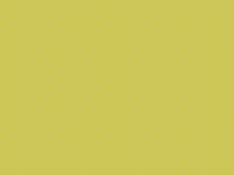 Store Bounce aftereffects animation bounce expression motion design