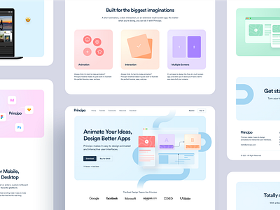 Principo - Interaction & Animation Software animated animation card clean design design app design tools gradient homepage ideas interaction landing page multicolor rounded screens software software design ui ux website