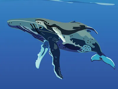 Illustrations animals illustraion nature