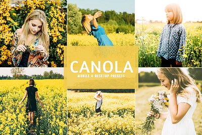 Free Canola Mobile & Desktop Lightroom Presets beautiful blog blogger blogger presets cinematic color colorful exclusive film insta instagram landscape lifestyle lightroom mobile lightroom preset mobile mobile lightroom mobile presets portrait premium