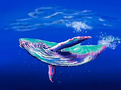 Humpback Whale digital illustration drawing expressive humpback whale illustration megafauna ocean painting pinks procreate vibrant whale