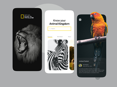 Nat Geo Mobile App Concept 2021 animal app app design clean concept daily ui informational inspiration minimal mobile app mobile ui nat geo onboarding onboarding ui ui ui design uiux ux wildlife