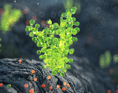 Bionyti Shampoo 3d animation brand c4d composition design illustration material redshift render