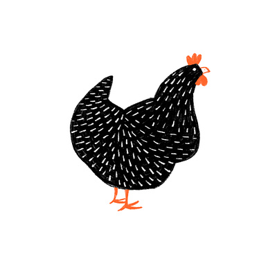 Black Hen Doodle black doodle doodling hen illustration procreate sketch sketching