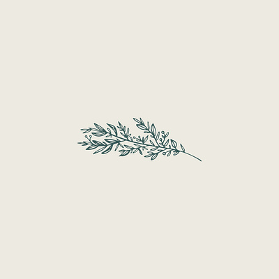 Juniper and Journey Podcast Art earthy illustration neutrals plant plant illustration podcast