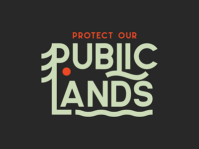 Protect Our Public Lands apparel badge badge design badgedesign branding distressedunrest goodtype national park nature nature illustration outdoors patch public lands typeface vector vintage vintage design