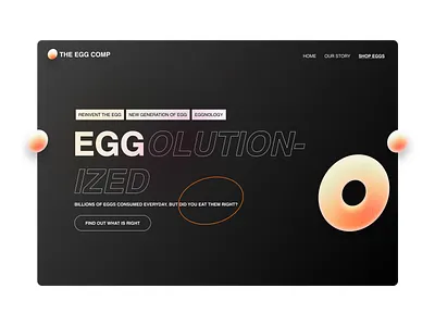 eggolution app design ho chi minh landing page ui design vietnam