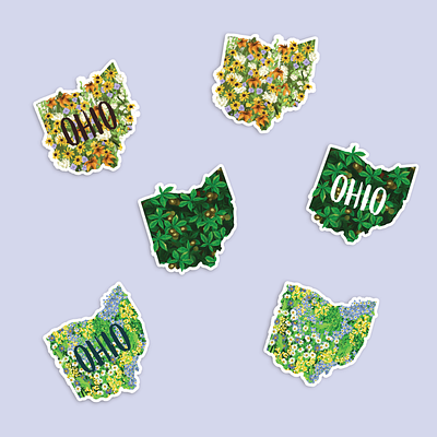 Ohio Shaped Stickers buckeye buckeyes floral flowers ohio ohio state shape of ohio state states sticker sticker design stickers wildflowers