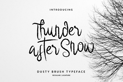 Thunder After Snow Brush Font branding design font hand lettering handlettering illustration layout lettering typography vector