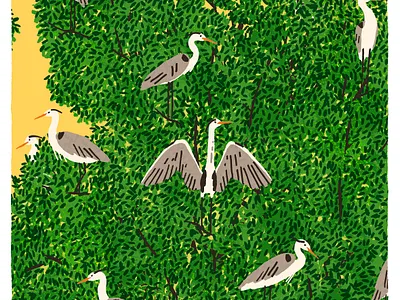 Heron Island birds character digital folioart illustration michael parkin nature