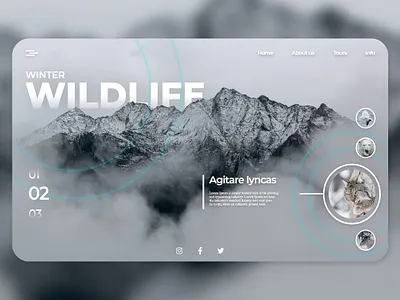 Winter WILDLIFE branding design graphic design minimal ui ux web website