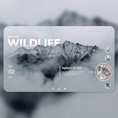 Winter WILDLIFE branding design graphic design minimal ui ux web website