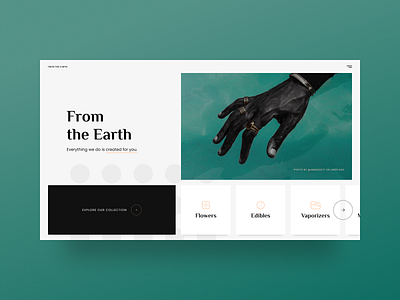 From the Earth Concept branding cannabis cannabis branding figma landingpage typography ui web web design