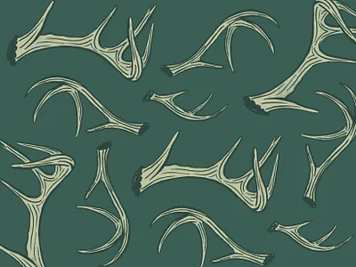 Spring Sheds antlers deer hunting illustration outdoor procreate sheds