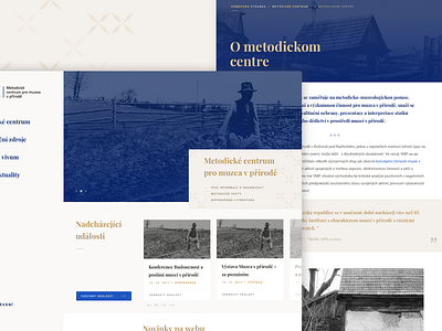 Website for Methodological Centre design prototype typography ui ui design uiux user experience user inteface ux web design website design