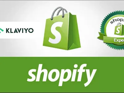I will build your professional dropshipping shopify store shopify shopify dropshipping shopify expert shopify store shopify website