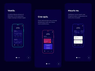 Onboarding Screens app app interface app ui design app ui templates appdesign appui bank budget finance finance app financial interface template templates ui ui kit ui template ui ux uidesign uiux