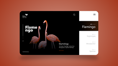 Birds Web UI Design adobe xd app app design art creative design graphic design illustration inspiration ui ui design uiux uiux designer uiuxdesign uiuxdesigner uxdesign web app web design web ui web uiux