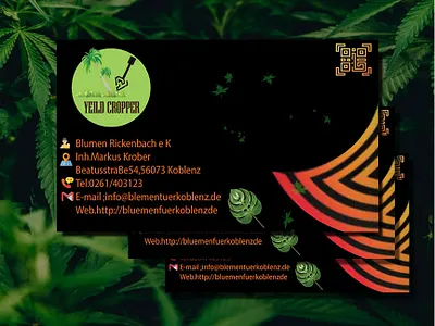 Business card mockup . banner banner design business cards design facebook banner facebook post illustration social media banner vector tracing vista