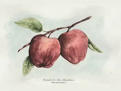 Grateful for this Abundance botanical botanical illustration illustration illustrator northern vintage watercolor