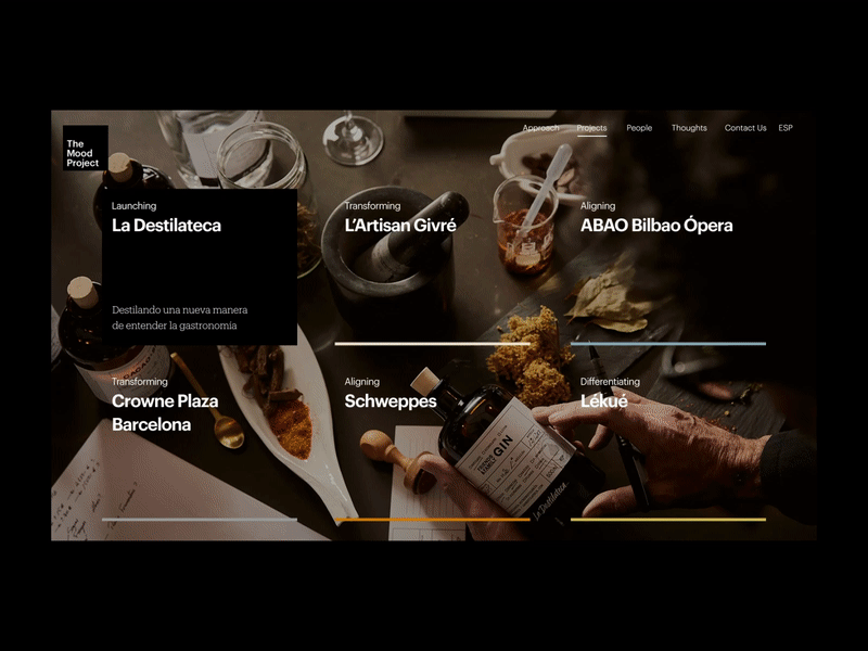 The Mood Project - portfolio branding design layout motion typography ui
