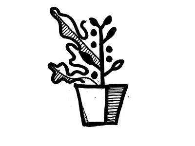 Office Plant illustration plant