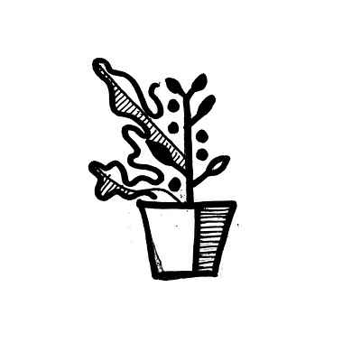 Office Plant illustration plant