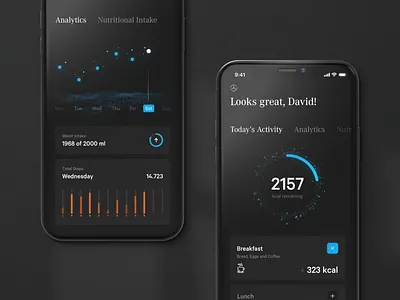 Mercedes Ecosystem — Health automotive data design health interface layout luxury minimal mobile ui statistics travel ui ux website