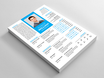 Resume a4 resume clean cv cover letter creative cv creative resume curriculum vitae cv design cv template doc doc resume docx docx resume employment indd job resume landscape modern cv modern resume msword resume