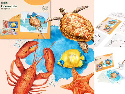 watercolour ocean life illustration animals bright coastal colorful fish illustration lobster nature ocean life painting sealife turtle watercolour illustration