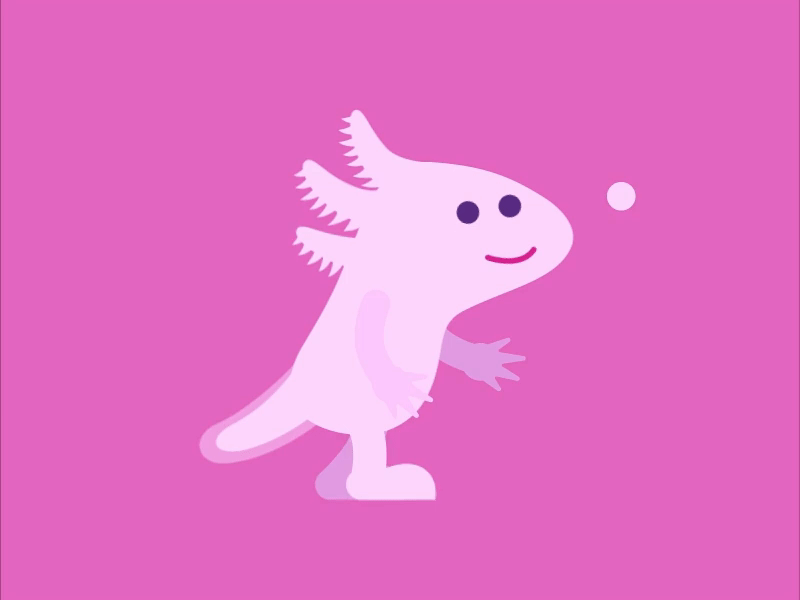 giant salamander chasing animation adobe illustrator aftereffects animals babyfish character chasing digitalart giantsalamander gif illustration illustrator motion motiongraphics pink walking