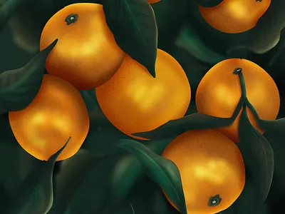 Oranges digital painting digitalart illustration procreate