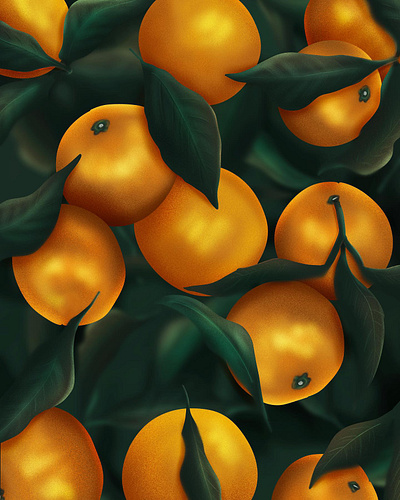 Oranges digital painting digitalart illustration procreate