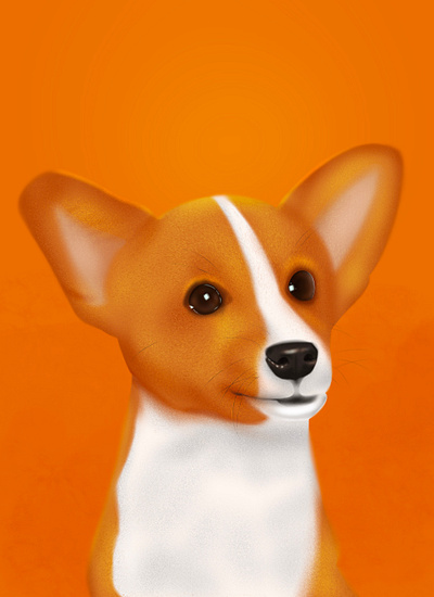 Doggie animal art digital art digital illustration digital painting digitalart dog illustration procreate