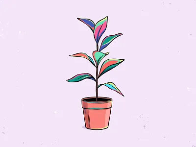 Plant in a pot drawing ficus flower illustration plant pot