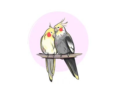 Parrots bird cockatiel corella cute drawing illustration love love birds parrot