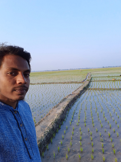 Extensive Paddy Fields In Naogaon - Ayub Ansary ayub ansary ayub bangladesh bangladesh beauty of bangladesh beauty of bangladesh native natural nature photography paddy field rice field rice in noagaon rice in noagaon seogeek আইয়ুব আইয়ুব আনসারী আনসারী
