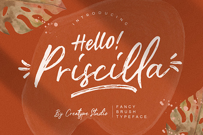 Priscilla Fancy Brush Typeface branding brush calligraphy handwriting handwritten logo quotes script signature typography