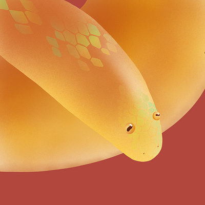 Stupid looking snake illustraion snake snake illustration stupid