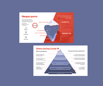 Presentation Design and Data Visualisation adobe xd data visualization presentation design