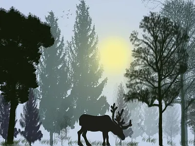 I will draw stunning landscape photoshop illustrations . banner design facebook banner illustraion landscape social media banner