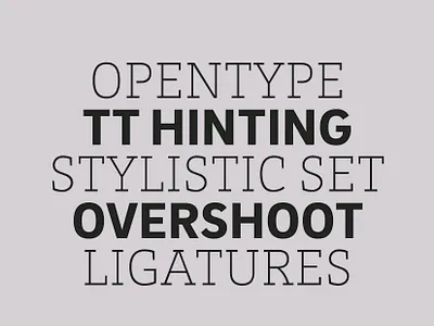 Brix Slab & Brix Sans branding corporate designer font fonts hvd sans sanserif slab slab serif slabserif type design typedesign typeface typo typography vocabulary