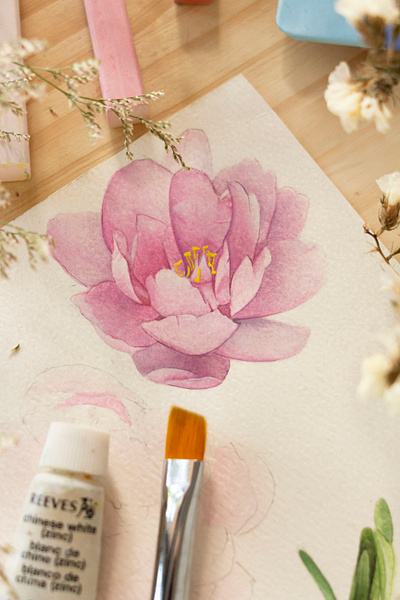 Watercolor peony flower flowers illustration paint painting peony pink plants process science watercolor